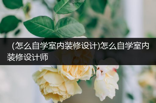 （怎么自学室内装修设计)怎么自学室内装修设计师