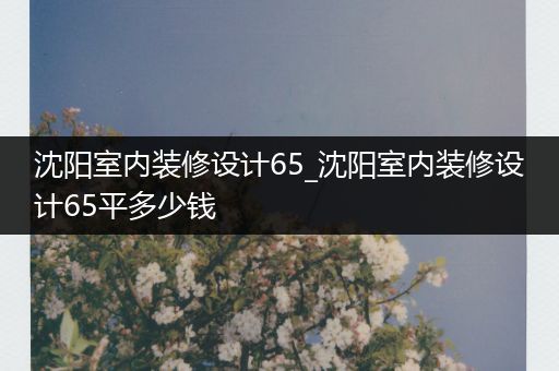 沈阳室内装修设计65_沈阳室内装修设计65平多少钱