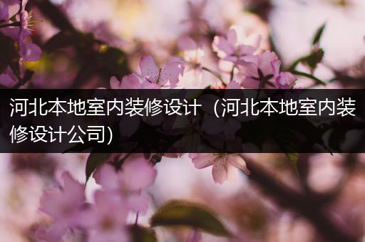 河北本地室内装修设计（河北本地室内装修设计公司）