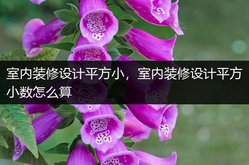 室内装修设计平方小，室内装修设计平方小数怎么算