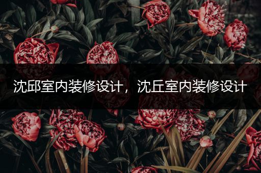 沈邱室内装修设计，沈丘室内装修设计