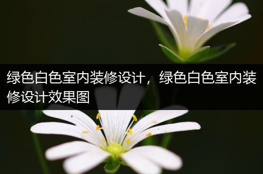 绿色白色室内装修设计，绿色白色室内装修设计效果图