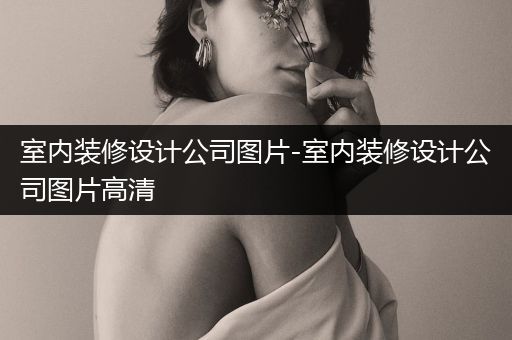 室内装修设计公司图片-室内装修设计公司图片高清
