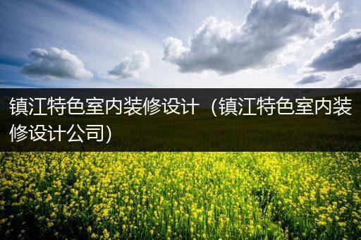 镇江特色室内装修设计（镇江特色室内装修设计公司）