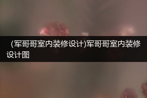 （军哥哥室内装修设计)军哥哥室内装修设计图