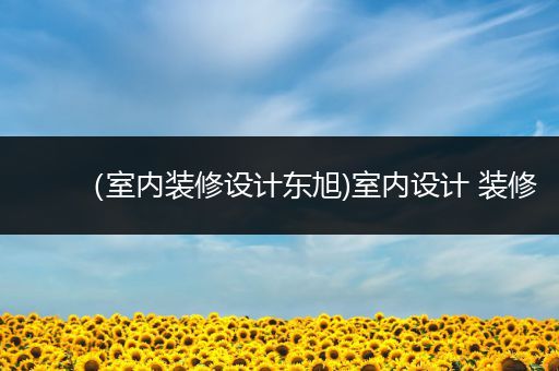 （室内装修设计东旭)室内设计 装修