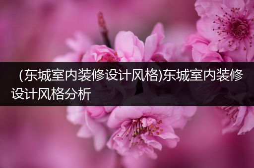 （东城室内装修设计风格)东城室内装修设计风格分析