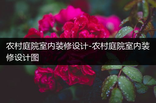 农村庭院室内装修设计-农村庭院室内装修设计图