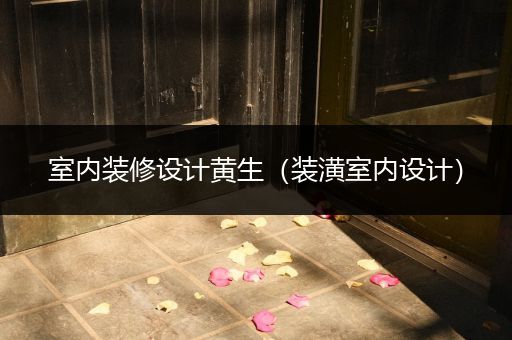 室内装修设计黄生（装潢室内设计）