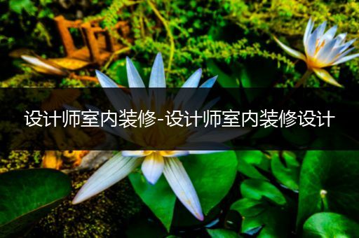 设计师室内装修-设计师室内装修设计