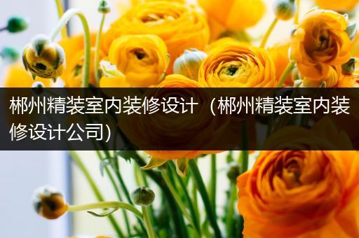 郴州精装室内装修设计（郴州精装室内装修设计公司）