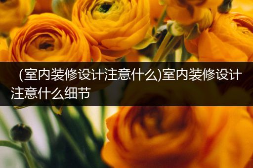 （室内装修设计注意什么)室内装修设计注意什么细节