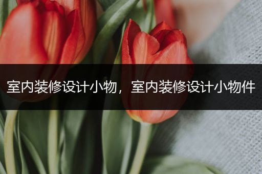 室内装修设计小物，室内装修设计小物件