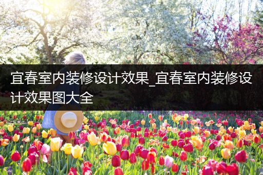 宜春室内装修设计效果_宜春室内装修设计效果图大全