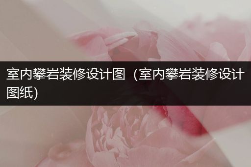 室内攀岩装修设计图（室内攀岩装修设计图纸）