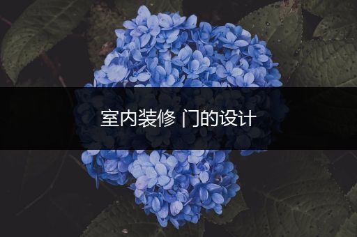 室内装修 门的设计