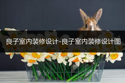 良子室内装修设计-良子室内装修设计图