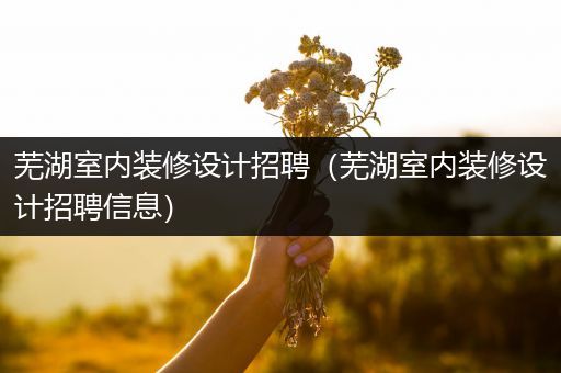 芜湖室内装修设计招聘（芜湖室内装修设计招聘信息）