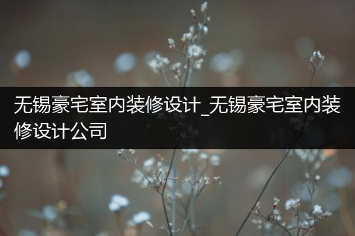 无锡豪宅室内装修设计_无锡豪宅室内装修设计公司