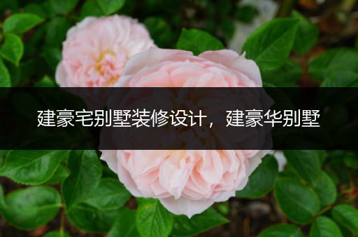 建豪宅别墅装修设计，建豪华别墅