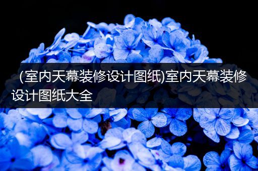 （室内天幕装修设计图纸)室内天幕装修设计图纸大全