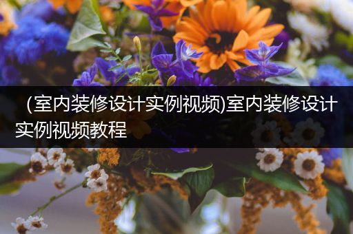 （室内装修设计实例视频)室内装修设计实例视频教程