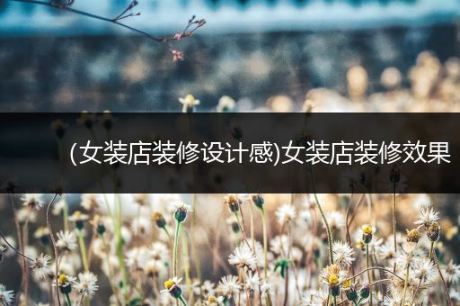 （女装店装修设计感)女装店装修效果