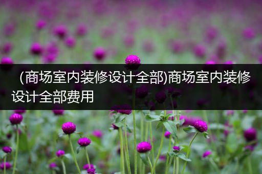 （商场室内装修设计全部)商场室内装修设计全部费用