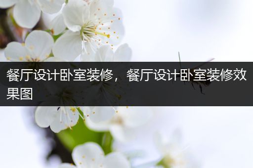 餐厅设计卧室装修，餐厅设计卧室装修效果图
