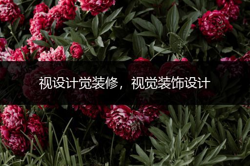 视设计觉装修，视觉装饰设计