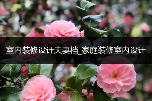 室内装修设计夫妻档_家庭装修室内设计