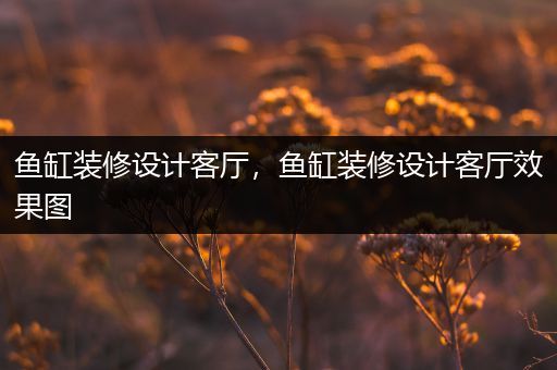 鱼缸装修设计客厅，鱼缸装修设计客厅效果图