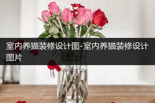 室内养猫装修设计图-室内养猫装修设计图片