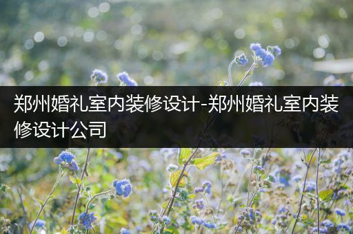 郑州婚礼室内装修设计-郑州婚礼室内装修设计公司