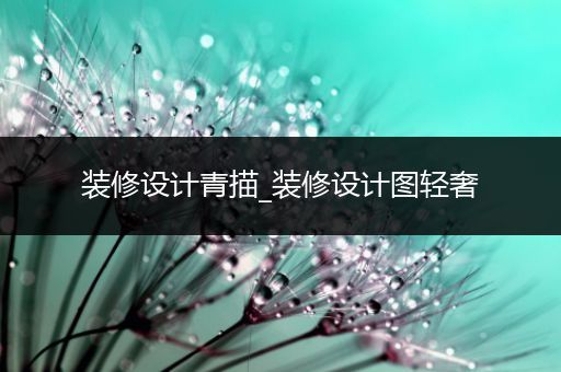 装修设计青描_装修设计图轻奢