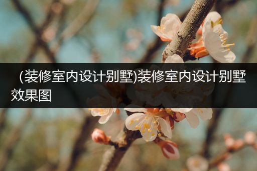 （装修室内设计别墅)装修室内设计别墅效果图