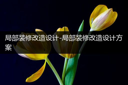 局部装修改造设计-局部装修改造设计方案