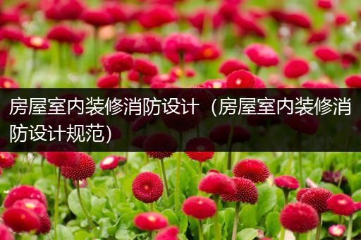 房屋室内装修消防设计（房屋室内装修消防设计规范）
