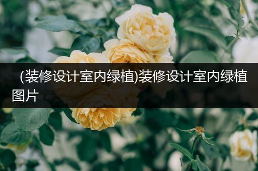 （装修设计室内绿植)装修设计室内绿植图片