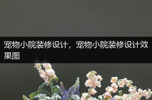 宠物小院装修设计，宠物小院装修设计效果图