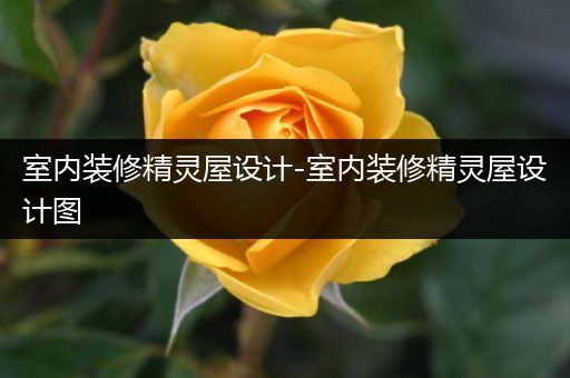 室内装修精灵屋设计-室内装修精灵屋设计图