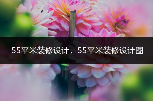 55平米装修设计，55平米装修设计图