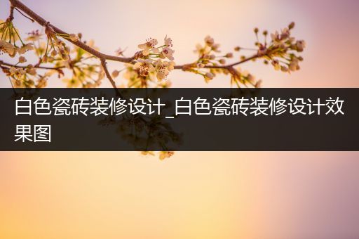 白色瓷砖装修设计_白色瓷砖装修设计效果图