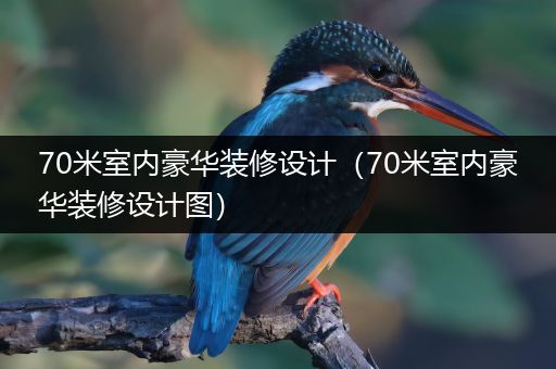 70米室内豪华装修设计（70米室内豪华装修设计图）