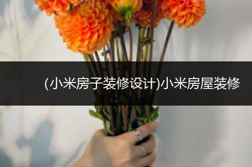 （小米房子装修设计)小米房屋装修