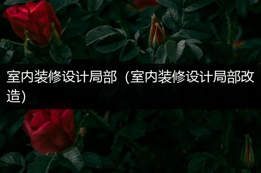 室内装修设计局部（室内装修设计局部改造）