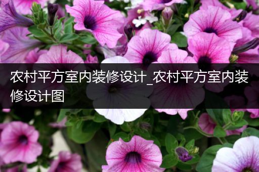 农村平方室内装修设计_农村平方室内装修设计图