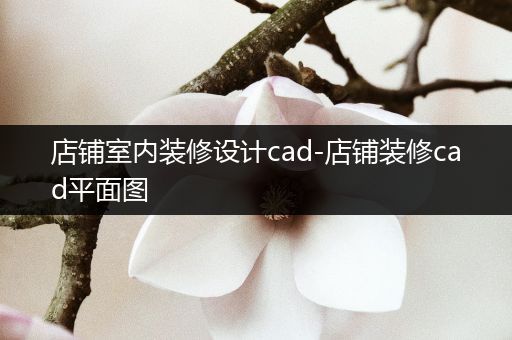 店铺室内装修设计cad-店铺装修cad平面图