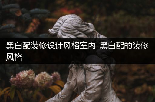黑白配装修设计风格室内-黑白配的装修风格