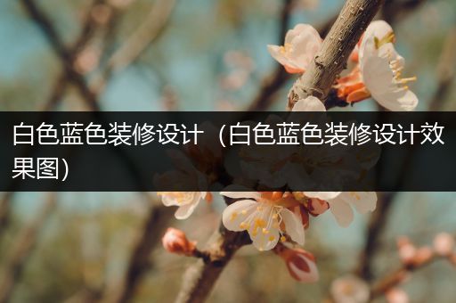 白色蓝色装修设计（白色蓝色装修设计效果图）